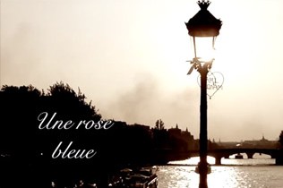 Une rose bleue